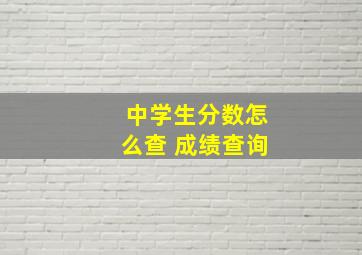 中学生分数怎么查 成绩查询